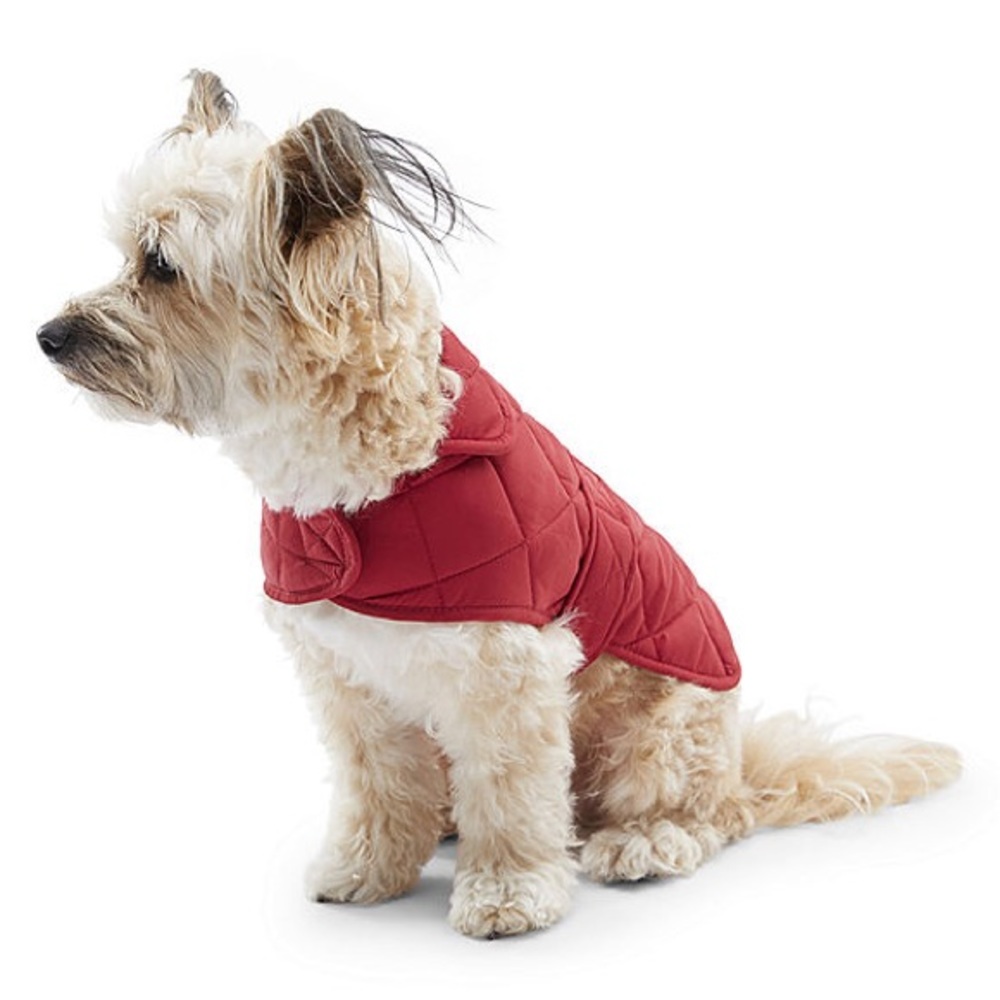 Red St. Johns Bark Dog Pet sweater coat nwt
